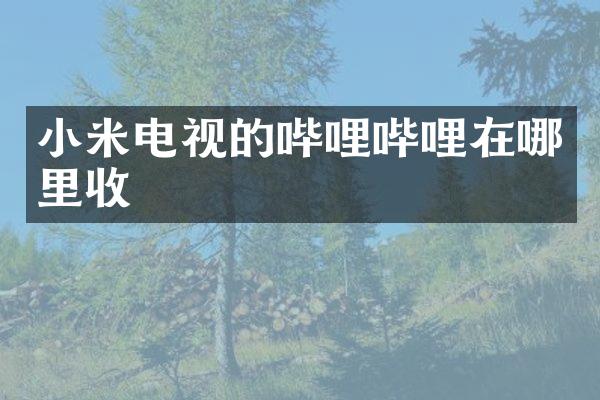 小米电视的哔哩哔哩在哪里收