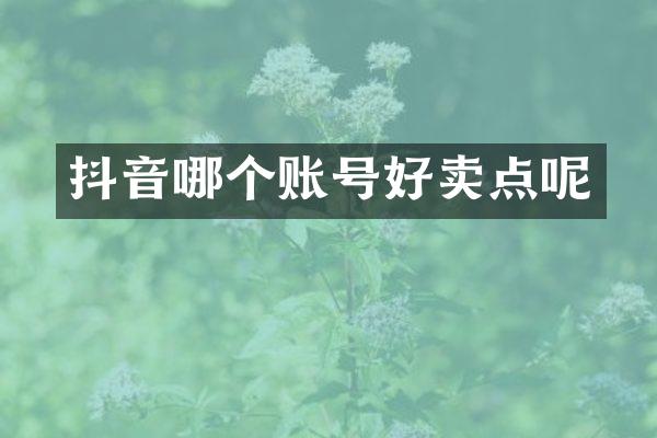 抖音哪个账号好卖点呢