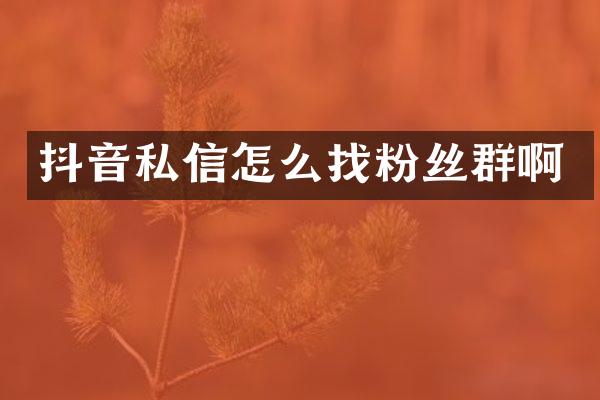 抖音私信怎么找粉丝群啊