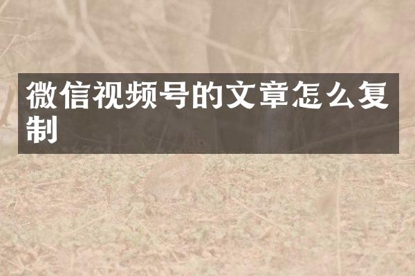 微信视频号的文章怎么复制