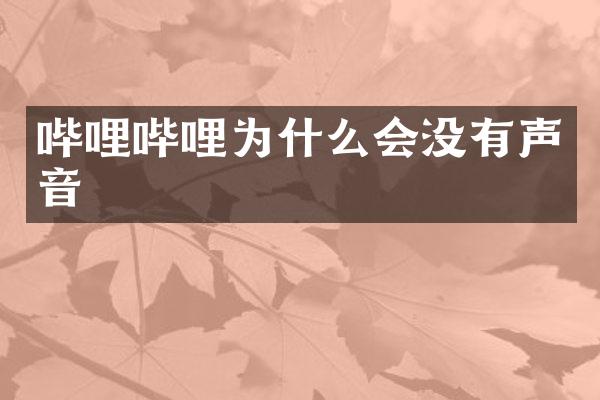 哔哩哔哩为什么会没有声音