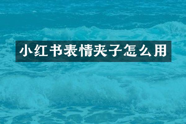 小红书表情夹子怎么用