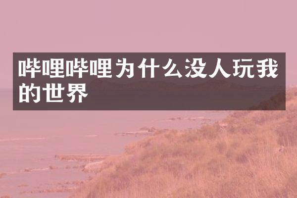 哔哩哔哩为什么没人玩我的世界
