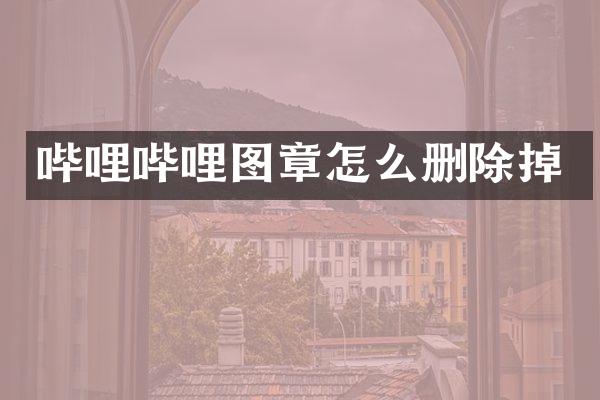 哔哩哔哩图章怎么删除掉