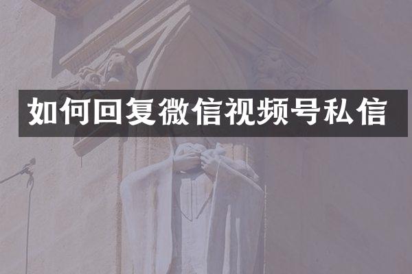 如何回复微信视频号私信