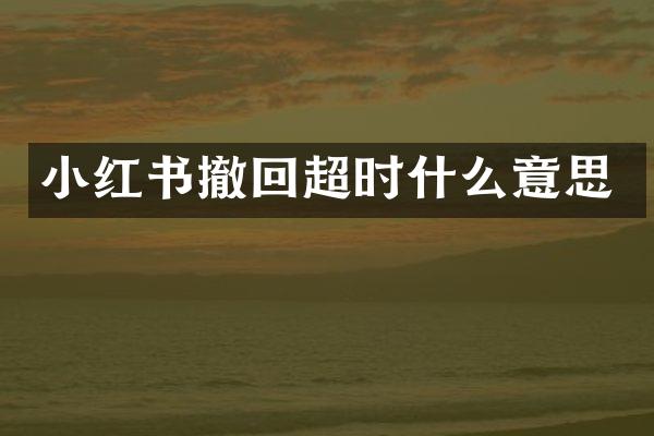 小红书撤回超时什么意思