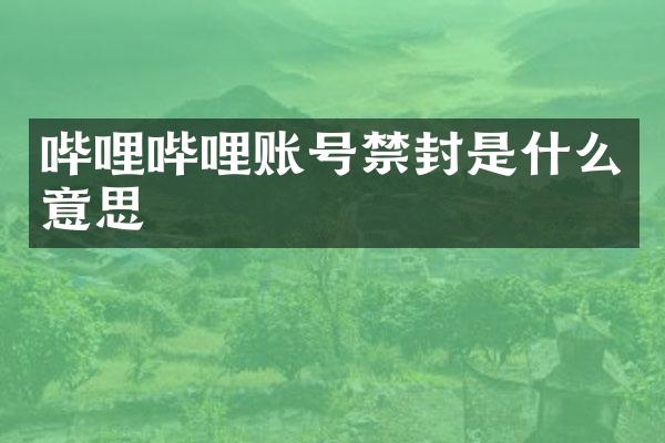 哔哩哔哩账号禁封是什么意思