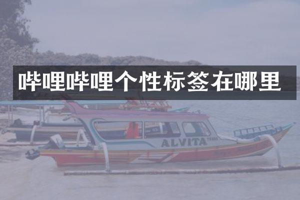 哔哩哔哩个性标签在哪里