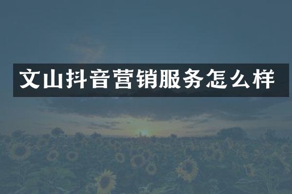 文山抖音营销服务怎么样