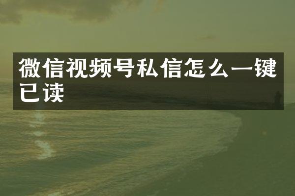 微信视频号私信怎么一键已读