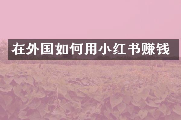 在外国如何用小红书赚钱