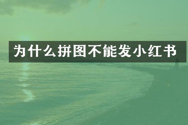 为什么拼图不能发小红书