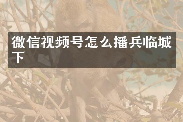 微信视频号怎么播兵临城下