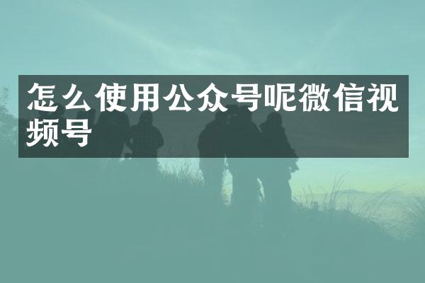 怎么使用公众号呢微信视频号
