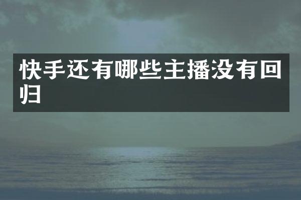 快手还有哪些主播没有回归