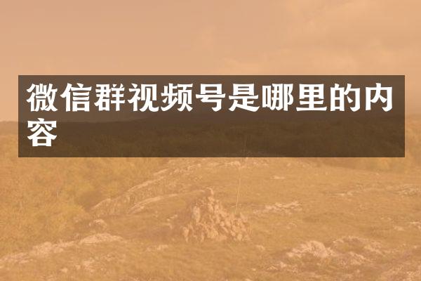 微信群视频号是哪里的内容