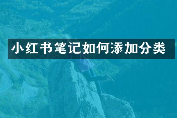 小红书笔记如何添加分类