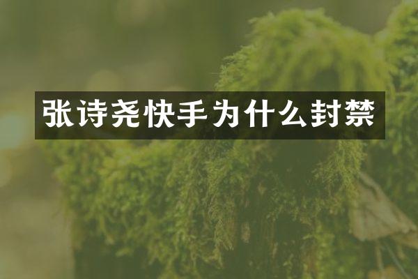 张诗尧快手为什么封禁