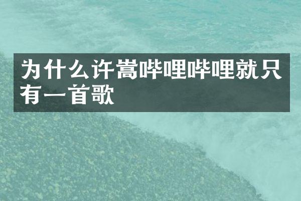 为什么许嵩哔哩哔哩就只有一首歌