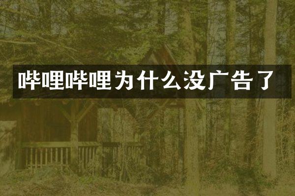 哔哩哔哩为什么没广告了