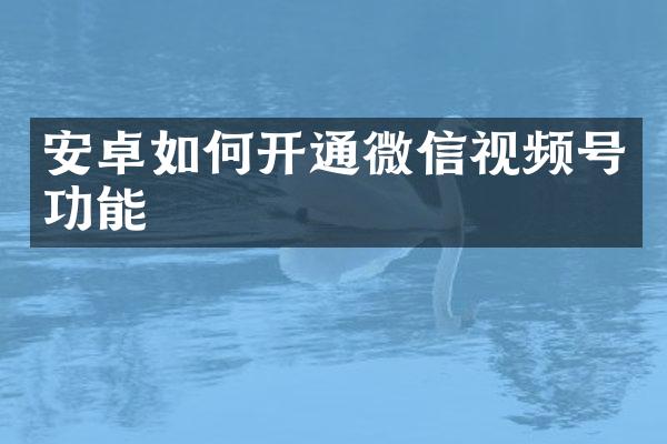 安卓如何开通微信视频号功能
