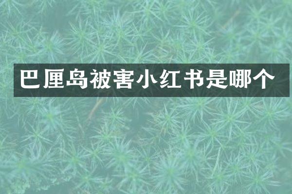 巴厘岛被害小红书是哪个