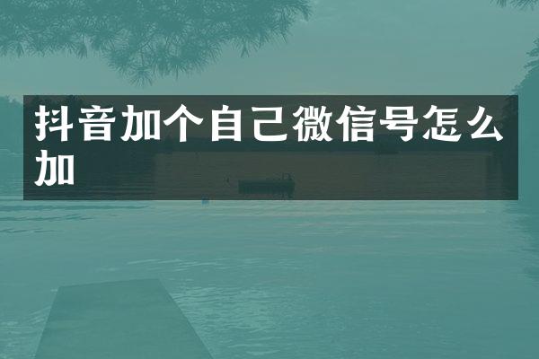 抖音加个自己微信号怎么加