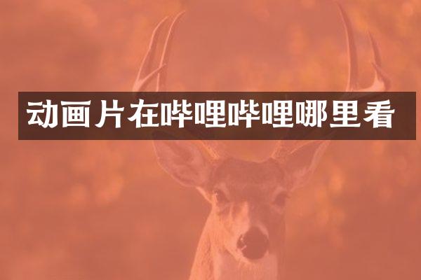 动画片在哔哩哔哩哪里看