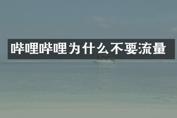 哔哩哔哩为什么不要流量