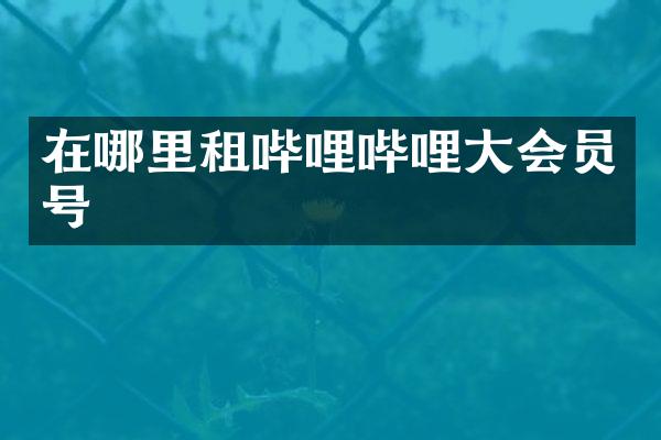 在哪里租哔哩哔哩大会员号