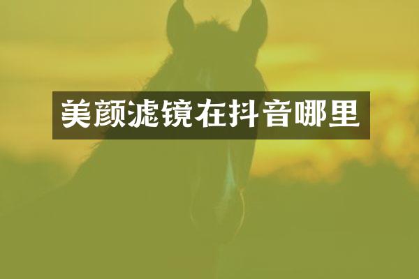美颜滤镜在抖音哪里