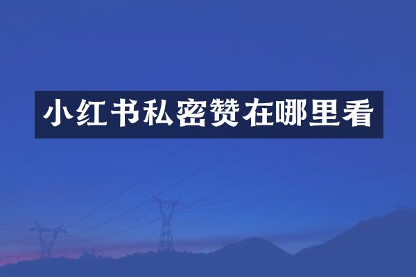 小红书私密赞在哪里看