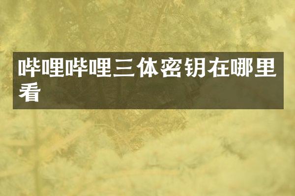 哔哩哔哩三体密钥在哪里看