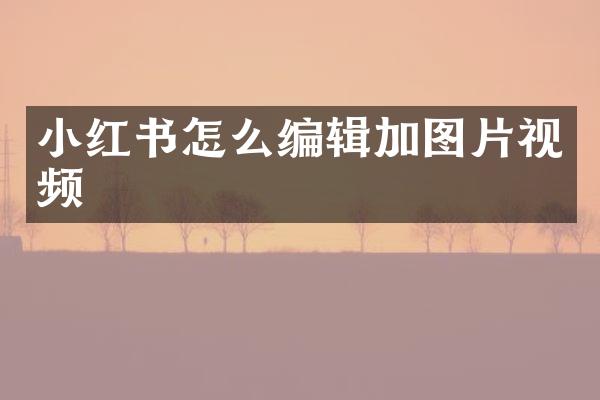 小红书怎么编辑加图片视频