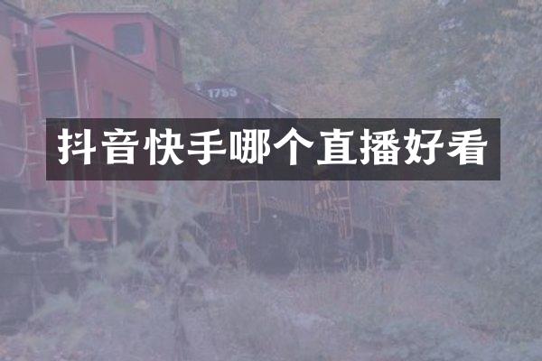 抖音快手哪个直播好看