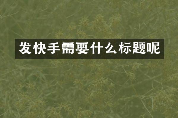 发快手需要什么标题呢