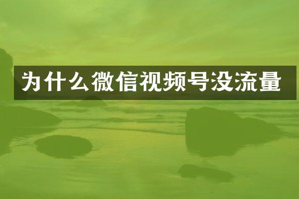为什么微信视频号没流量