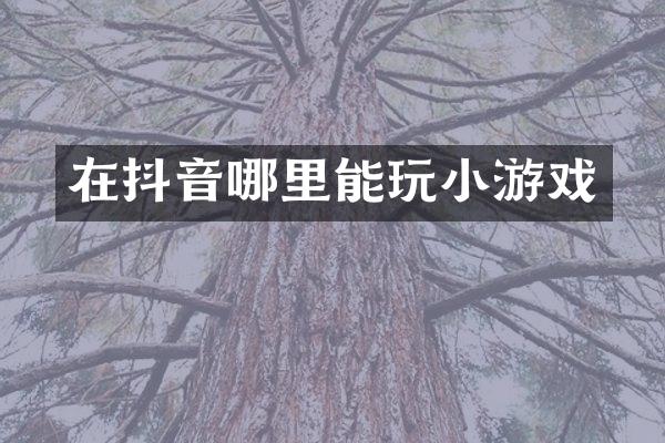 在抖音哪里能玩小游戏