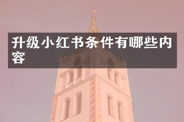 升级小红书条件有哪些内容