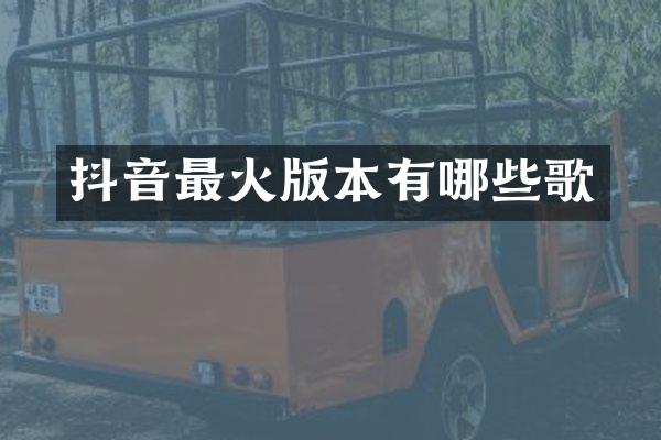 抖音最火版本有哪些歌