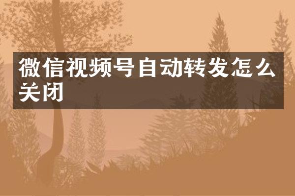 微信视频号自动转发怎么关闭
