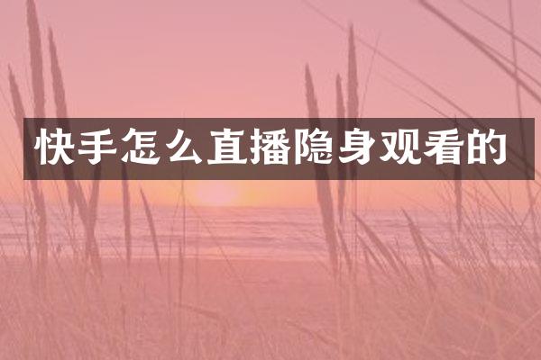 快手怎么直播隐身观看的