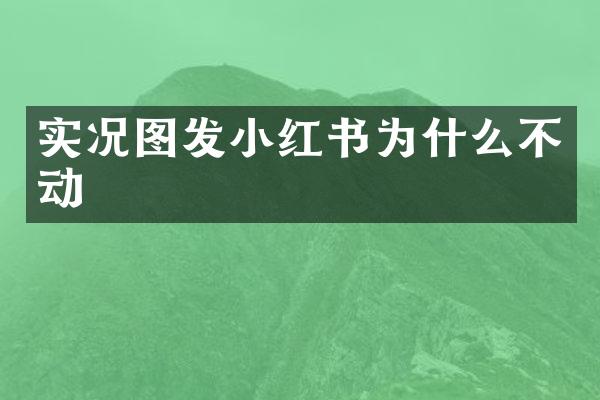 实况图发小红书为什么不动