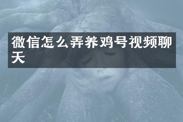 微信怎么弄养鸡号视频聊天