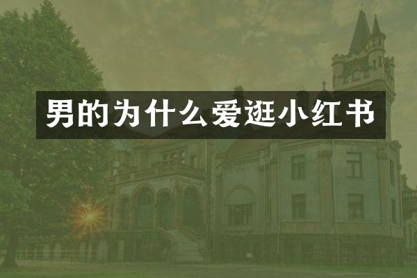 男的为什么爱逛小红书