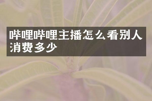 哔哩哔哩主播怎么看别人消费多少