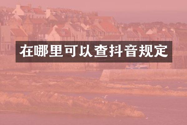 在哪里可以查抖音规定