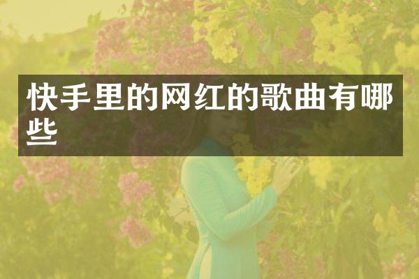 快手里的网红的歌曲有哪些