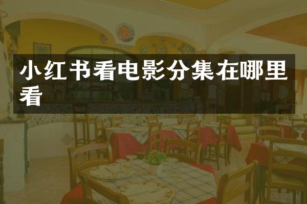 小红书看电影分集在哪里看