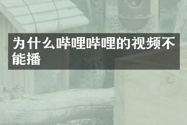 为什么哔哩哔哩的视频不能播